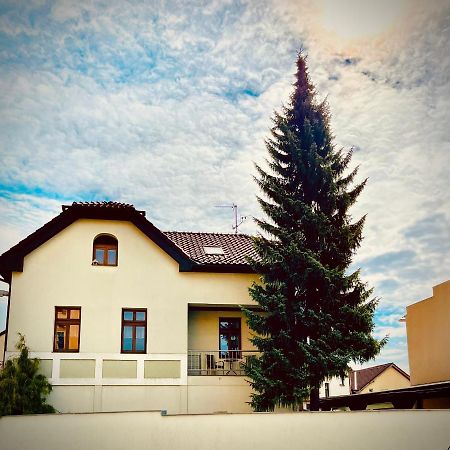 Apartman U Smrku Dvůr Králové nad Labem Exterior foto